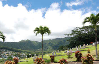 Chinese Cemetary-view north